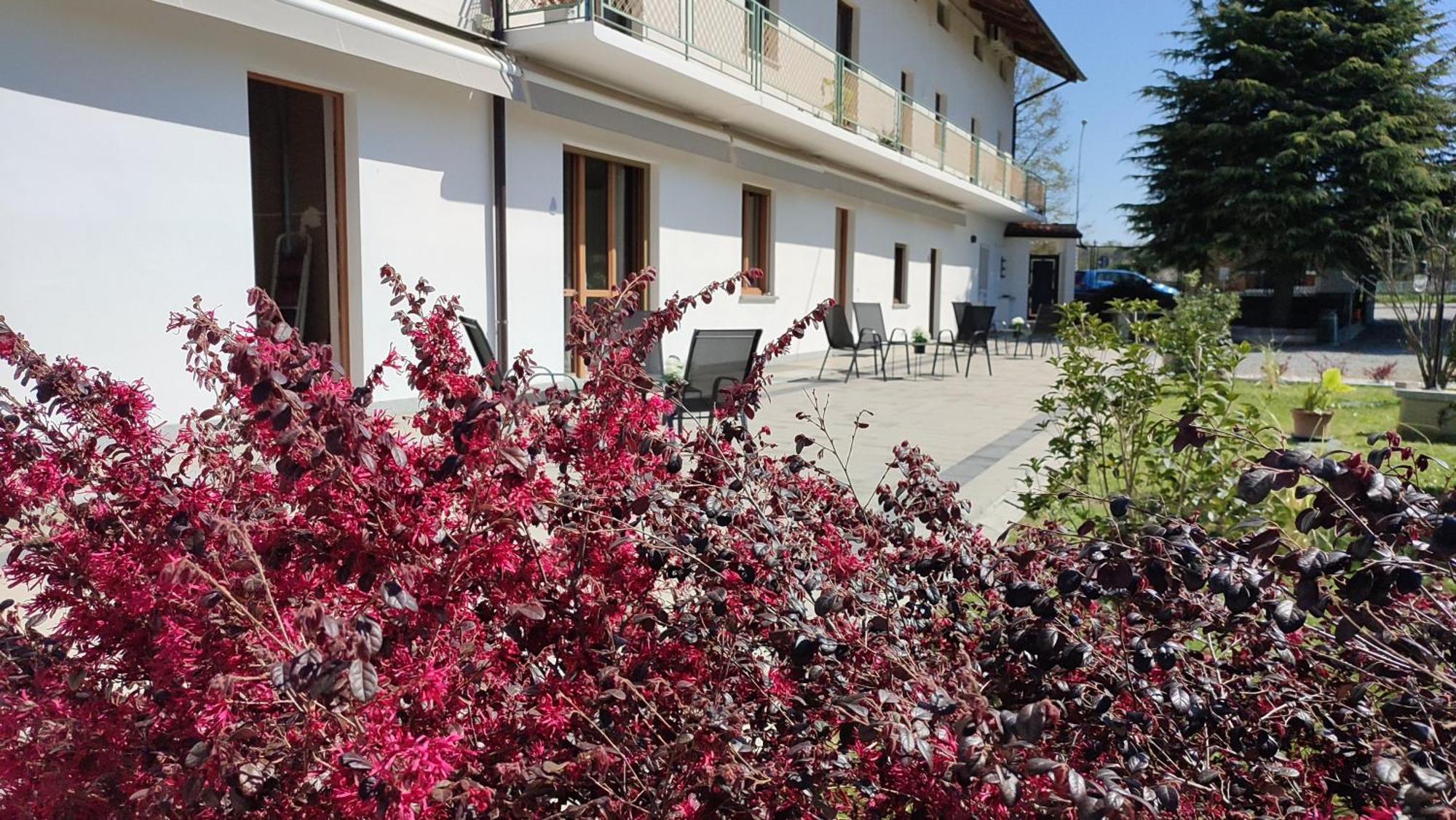Nautica Tarello - Casa Ena Beb Bed & Breakfast Viverone Luaran gambar